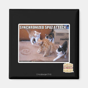 Sychronized Spaz Attack Magnet