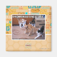 Sychronized Spaz Attack
