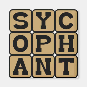 Sycophant, Yes Man or Brown Noser Magnet