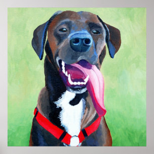 Sydney Dog Art Large Print