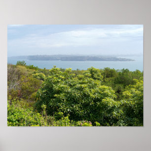 sydney harbour lookout from manly poster