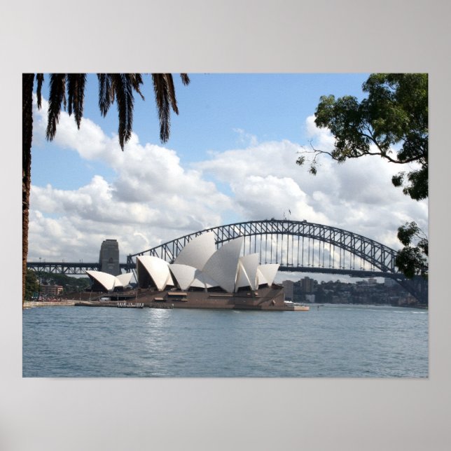 sydney harbour trees poster (Front)