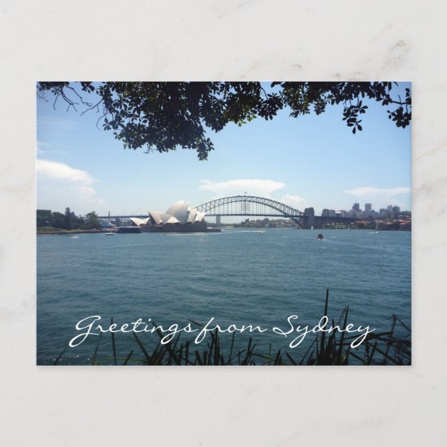 sydney harbour view postcard (Front)