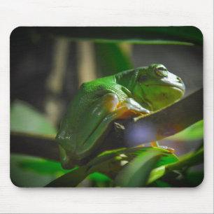 Sydney Zoo - Green Tree Frog Mouse Pad