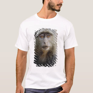 Sykes or Blue Monkey, Cercopithecus mitis, T-Shirt