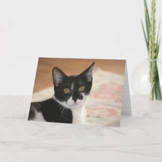 Sylvester Card