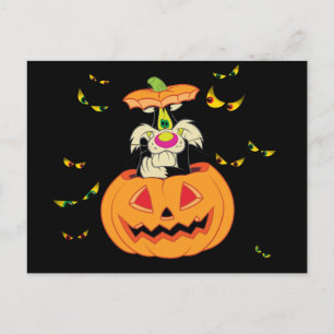 SYLVESTER™ Hiding in a Jack-o-Lantern Invitation Postcard