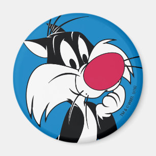 Sylvester Jr.   Classic Pose Magnet