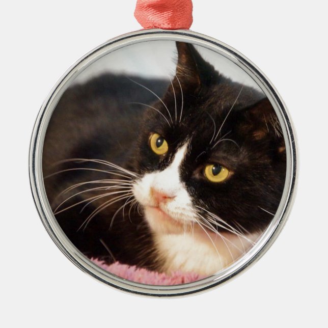 Sylvester Metal Tree Decoration (Front)
