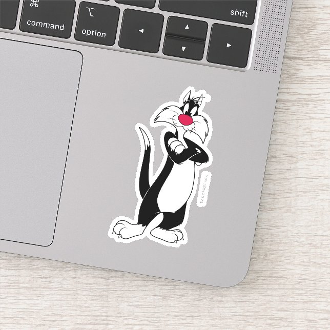 SYLVESTER™ Red Nose (Detail)