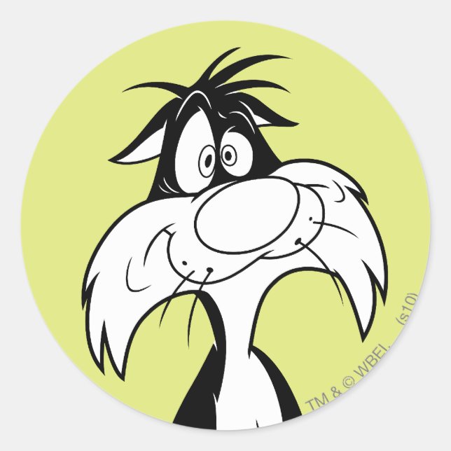 SYLVESTER™ Silly Classic Round Sticker (Front)