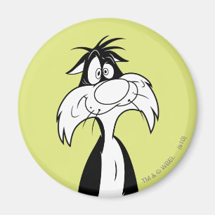 SYLVESTER™ Silly Magnet