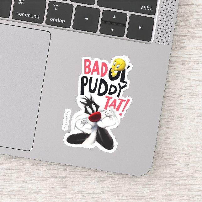 SYLVESTER™ & TWEETY™- Bad Ol' Puddy Tat (Detail)