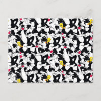 SYLVESTER™ & TWEETY™ Pattern