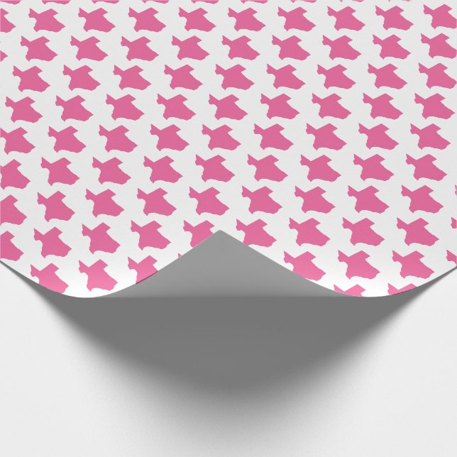 Symbols of Texas, Texas State, Pink Wrapping Paper (Corner)