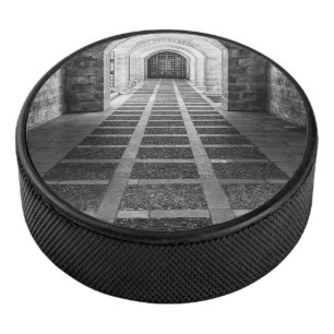 Symmetry in black and white hockey puck