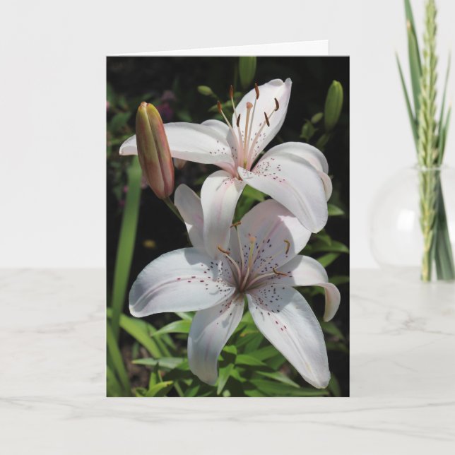 Sympathy Card (Front)