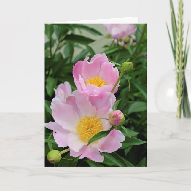 Sympathy Card (Front)