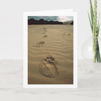 Sympathy Card