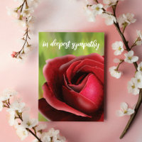 Sympathy Card: Deep Red Rose Customizeable