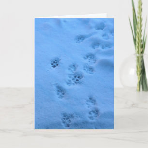 Sympathy card for a pet