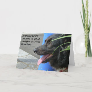 Sympathy Card for Dog - Sunshine in my Dog's Eyes
