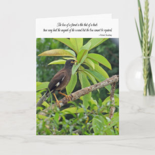 Sympathy card - Loss of a friend