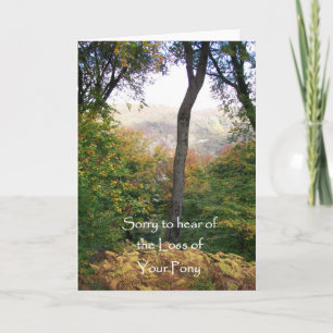Sympathy Card, Loss of Pony Card