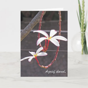 Sympathy Card-Tropical Flowers Card