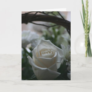 Sympathy Card white rose unique greeting cards