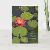 Sympathy Dahlia in lily pads