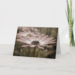 sympathy daisy with raindrops card