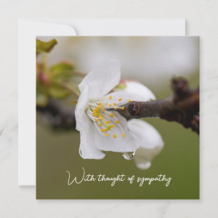 Sympathy Flat Card