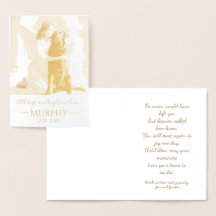 Sympathy for Loss of Labrador Retriever Angel