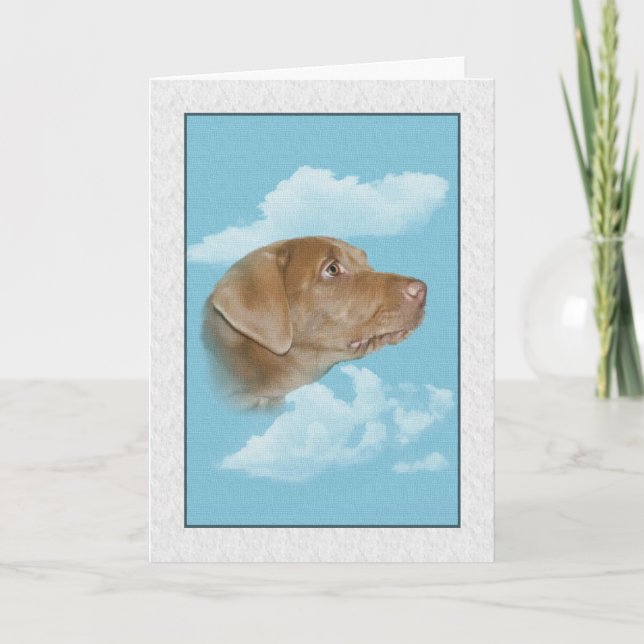 Sympathy for Loss of Pet Card (Front)