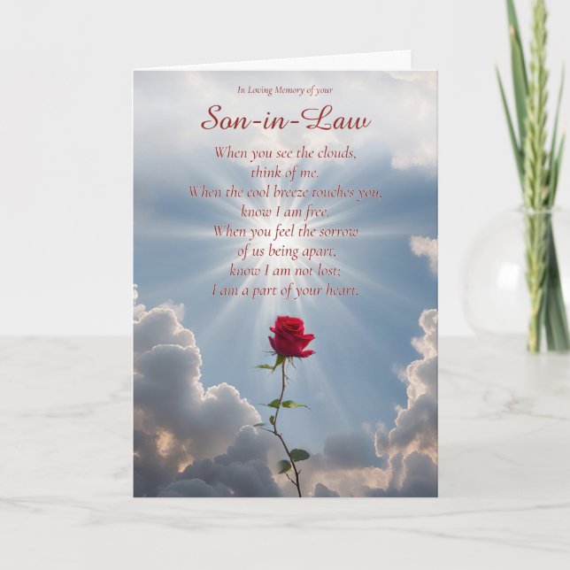 Sympathy for Loss of Son in Law Single Rose Card (Front)