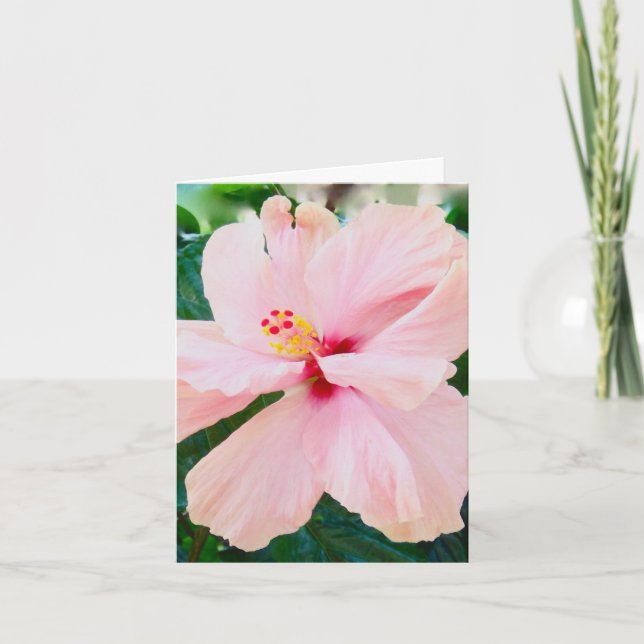 Sympathy Funeral Pink Flower Card (Front)