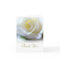 Sympathy Funeral Thank You Elegant White Rose
