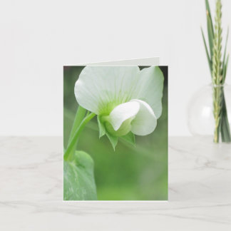 Sympathy Greeting Card customisable template