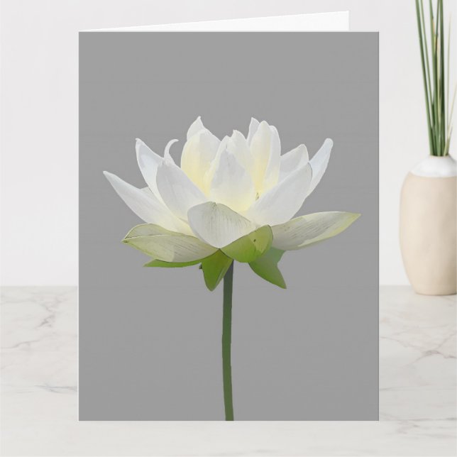 SYMPATHY LOTUS FLOWER SIMPLE MESSAGE GREETING CARD (Front)