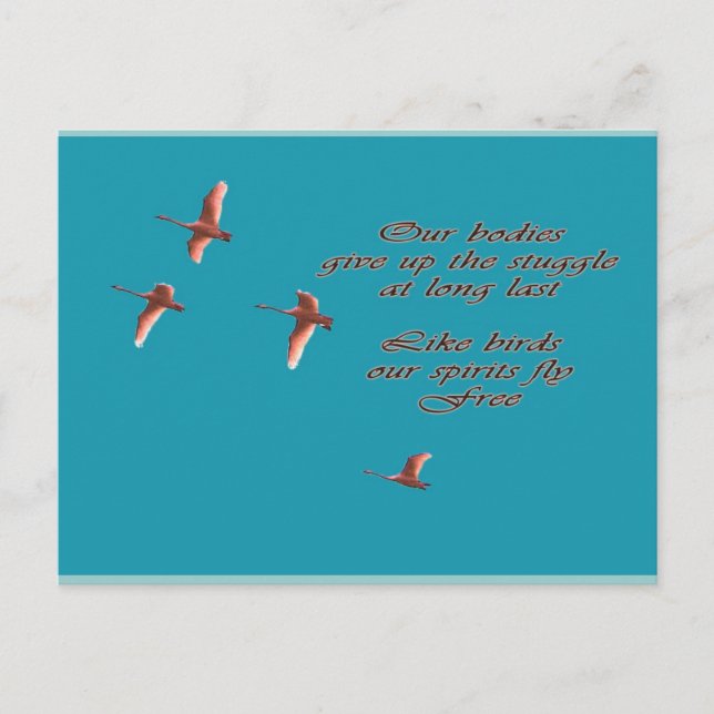 Sympathy-May You Find Comfort Trupeter Swans Postcard (Front)