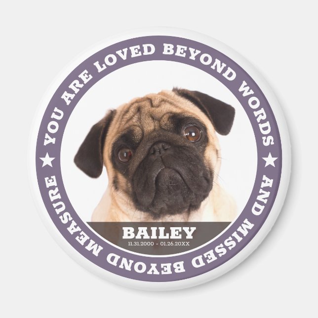 Sympathy Modern Simple Custom Pet Photo Keepsake Magnet (Front)