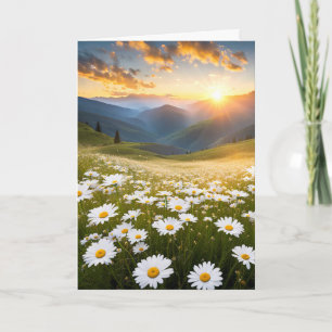 Sympathy Mountain Daisy Field Card