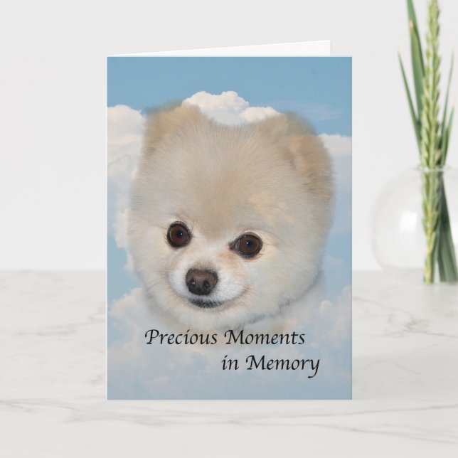 Sympathy on Death of Pet Dog Card (Front)