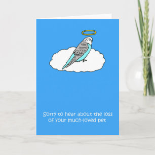 Sympathy on Loss of Pet Bird. Card
