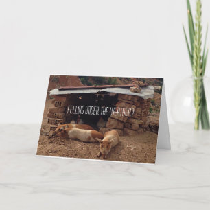 Sympathy  Pig Greeting Card