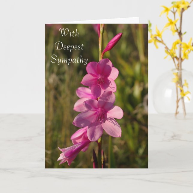 Sympathy Pink Floral White Script Message Photo Card (Yellow Flower)