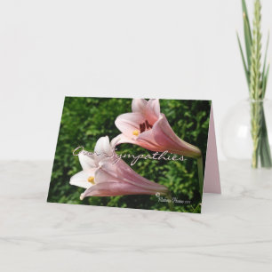 Sympathy- Pk Trumpet Lily- customise any occasion Card