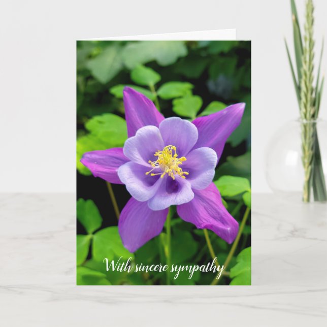 Sympathy Purple Columbine Flower Card (Front)