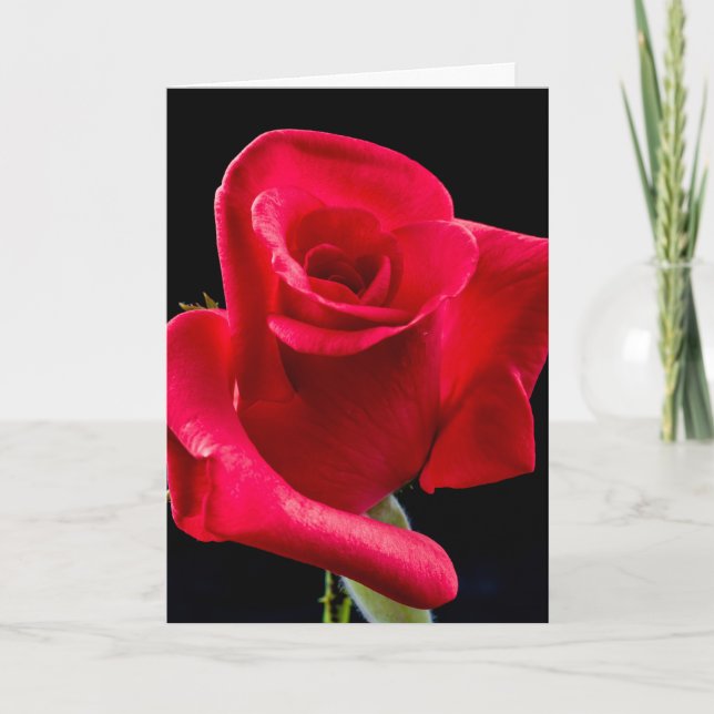 SYMPATHY ROSE GREETING CARD (Front)